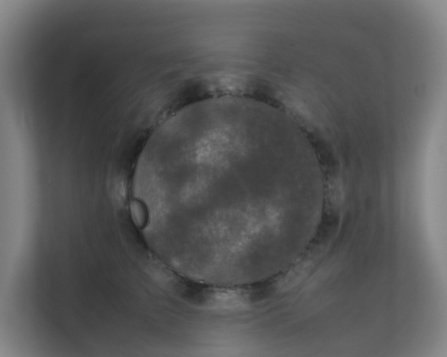 X0000111630709200907241050