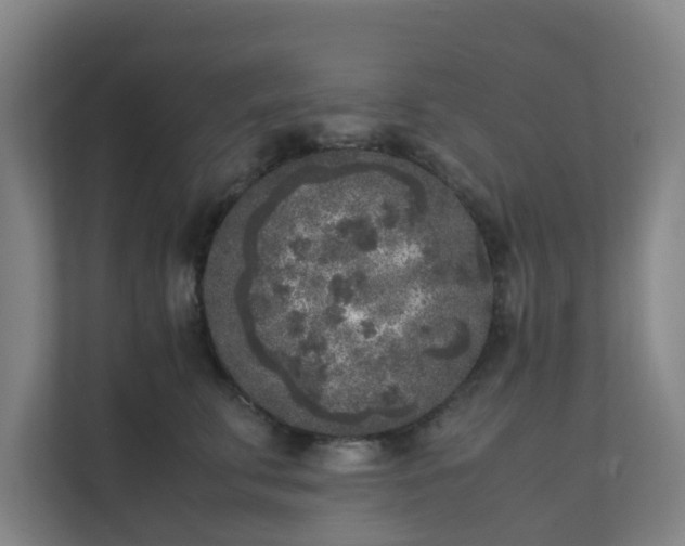 X0000111630711200907241050