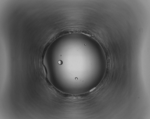 X0000111630712200907241050