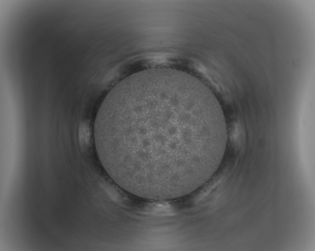 X0000111630715200907241050