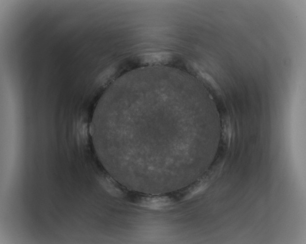 X0000111630716200907241050