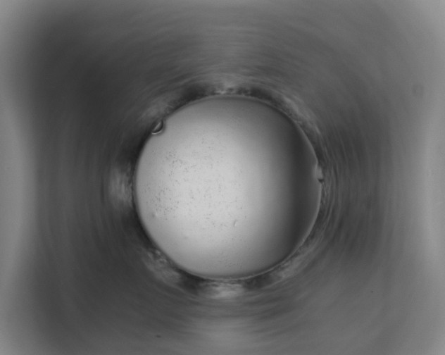 X0000111630719200907241050