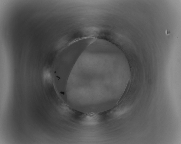 X0000111630720200907241050