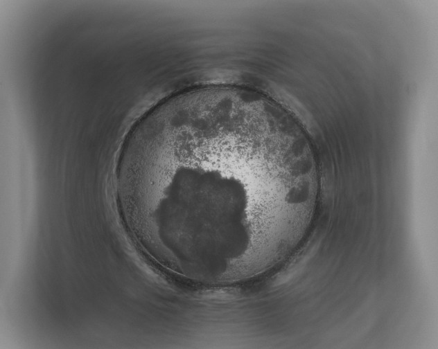 X0000111630721200907241049