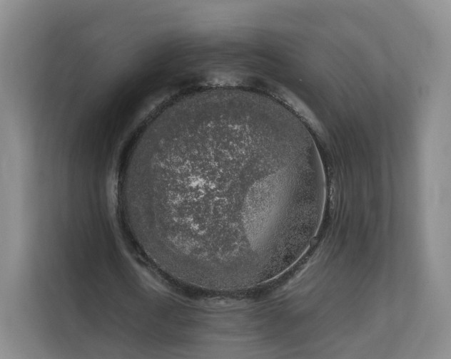 X0000111630722200907241049