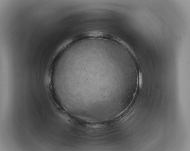 X0000111630723200907241049