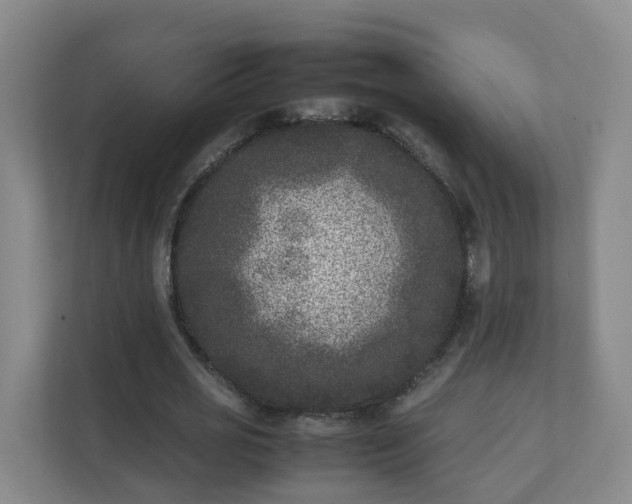 X0000111630725200907241050