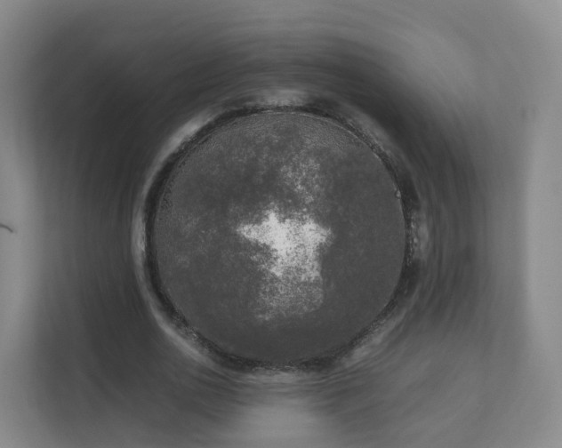 X0000111630726200907241050