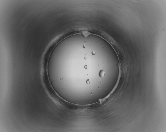 X0000111630728200907241050