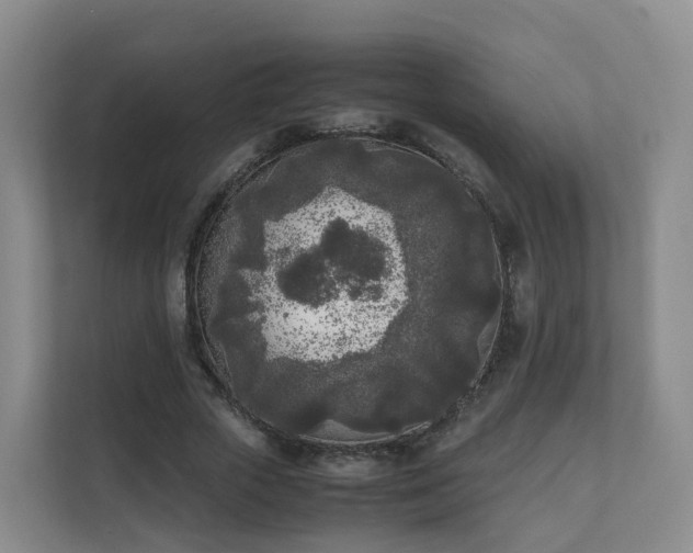 X0000111630729200907241050