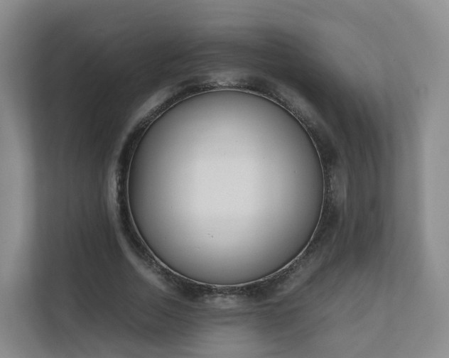 X0000111630730200907241050