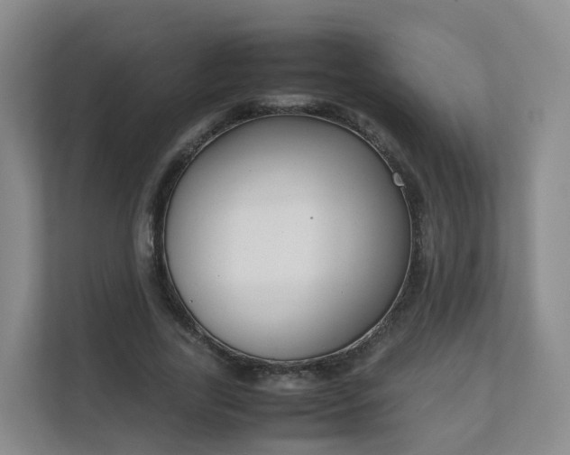 X0000111630731200907241050