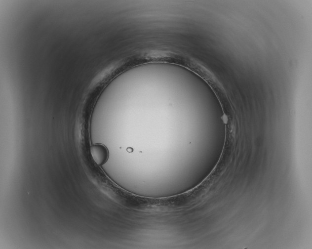 X0000111630732200907241050