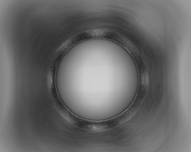 X0000111630733200907241050