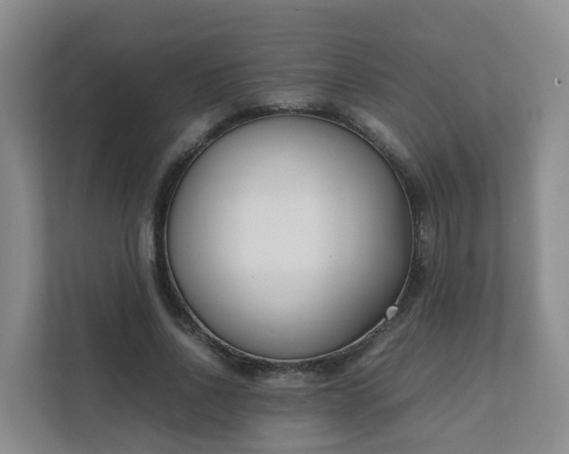 X0000111630734200907241050