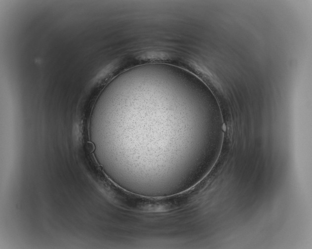 X0000111630735200907241050