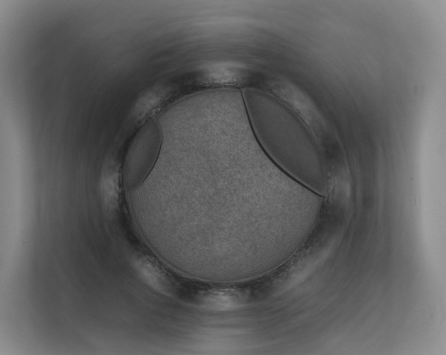 X0000111630736200907241050