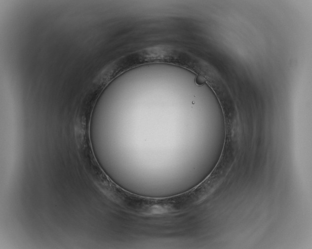 X0000111630737200907241050