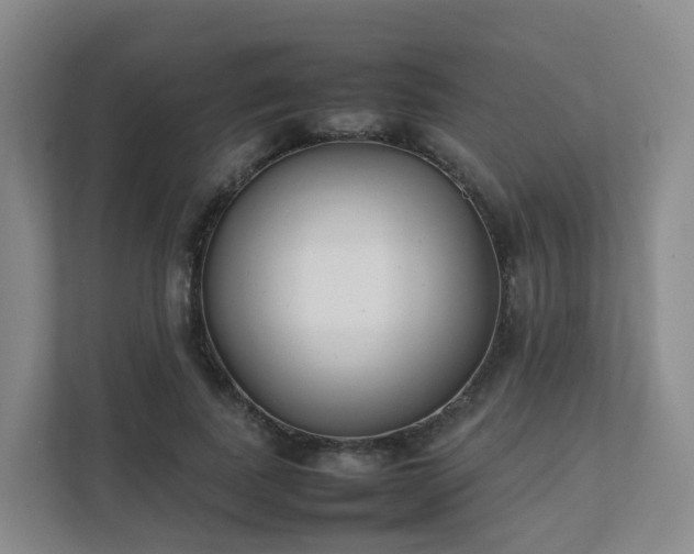 X0000111630739200907241050