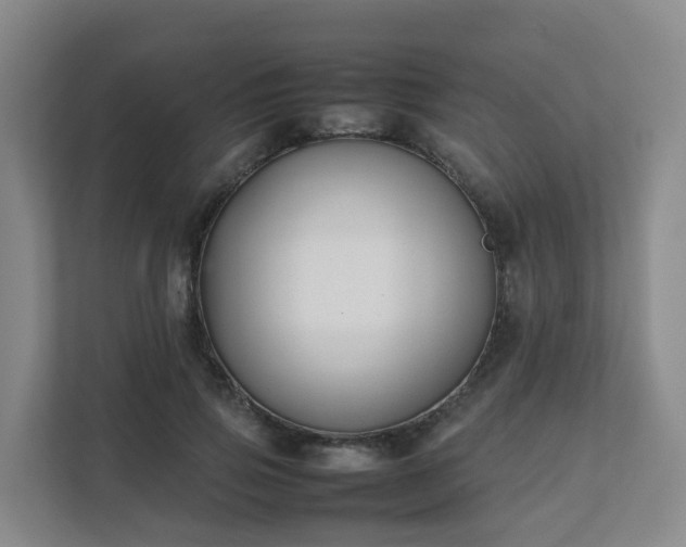 X0000111630741200907241050