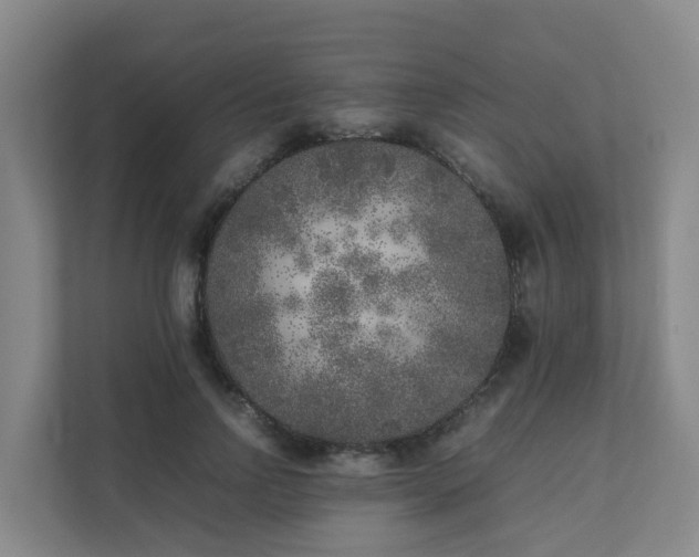 X0000111630742200907241050