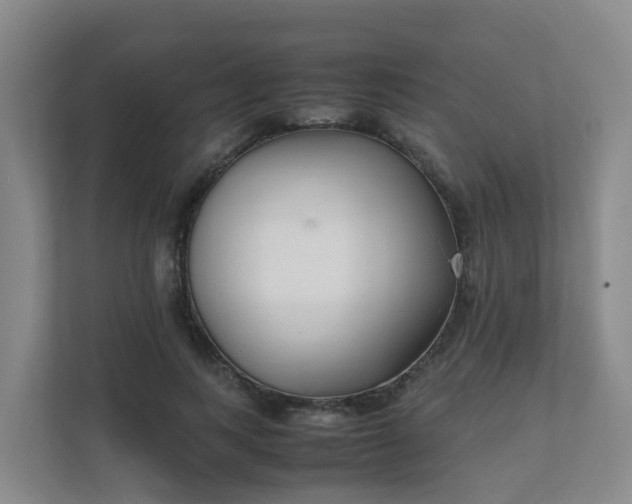 X0000111630743200907241050