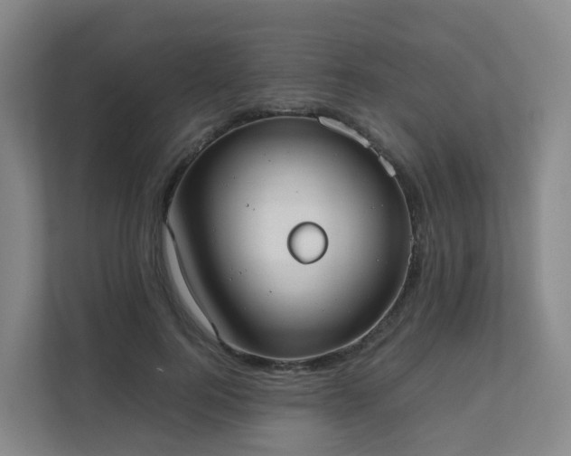 X0000111630744200907241050