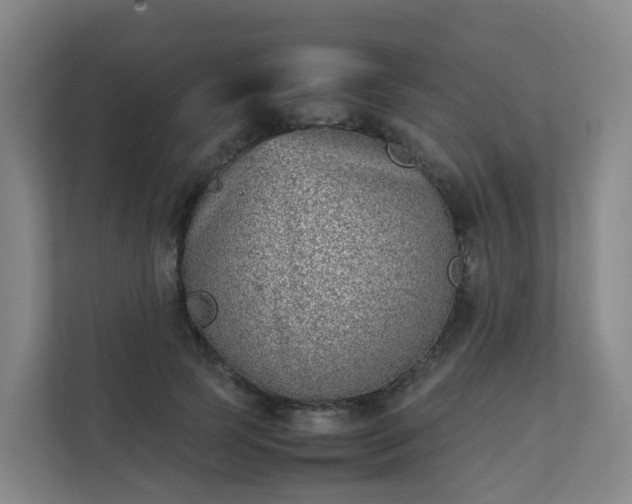 X0000111630745200907241050