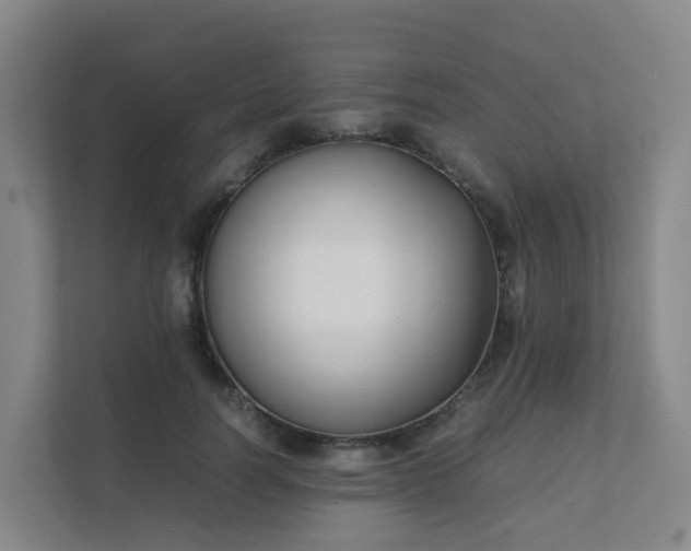 X0000111630746200907241050