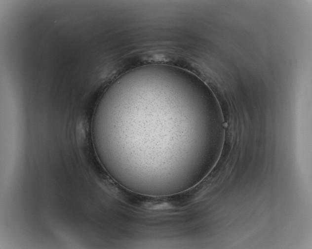 X0000111630747200907241050