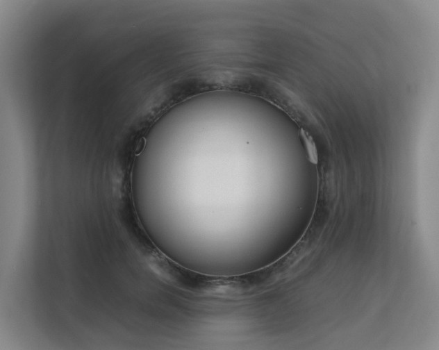 X0000111630750200907241050