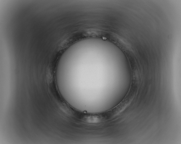 X0000111630751200907241050