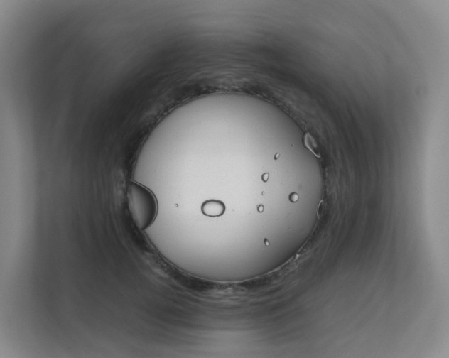 X0000111630752200907241050