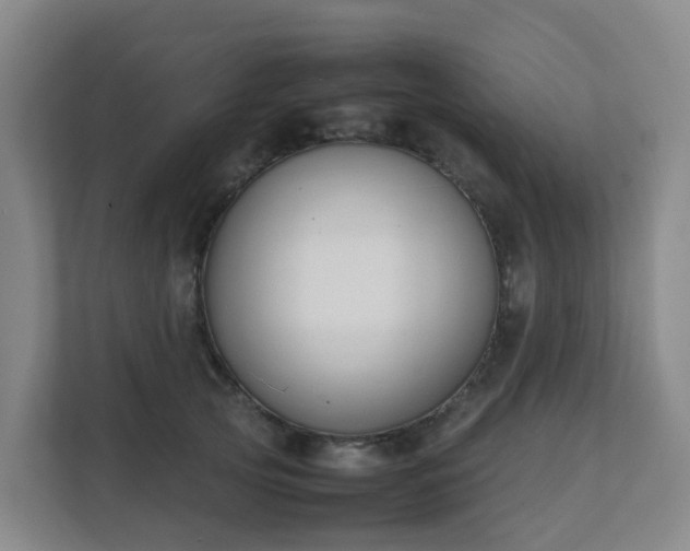 X0000111630753200907241050