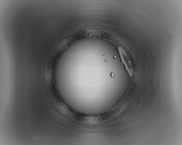 X0000111630756200907241050