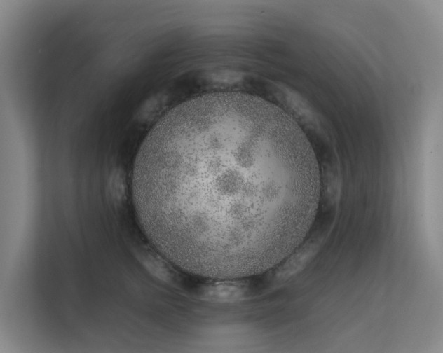 X0000111630758200907241050