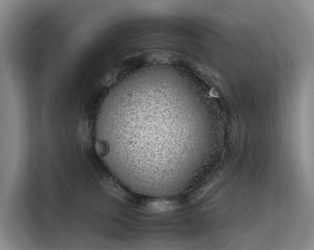 X0000111630759200907241050