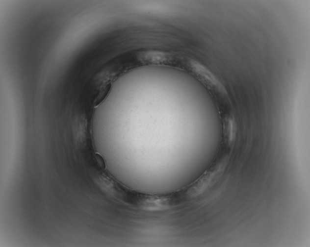 X0000111630760200907241050