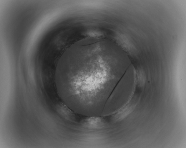 X0000111630762200907241050