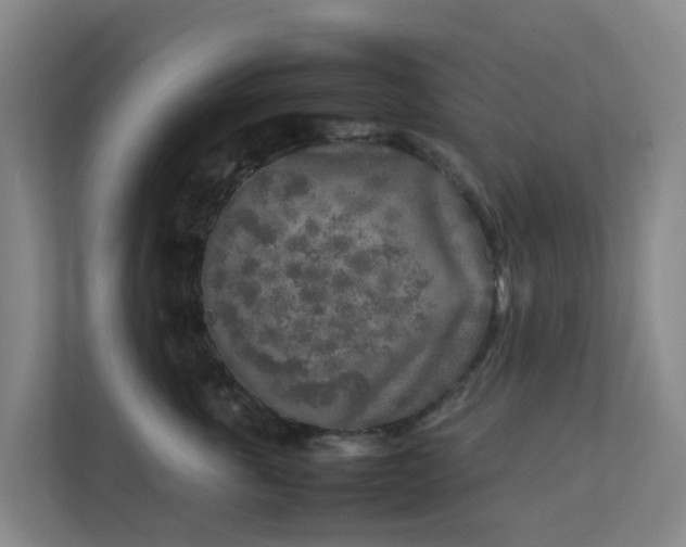 X0000111630763200907241050