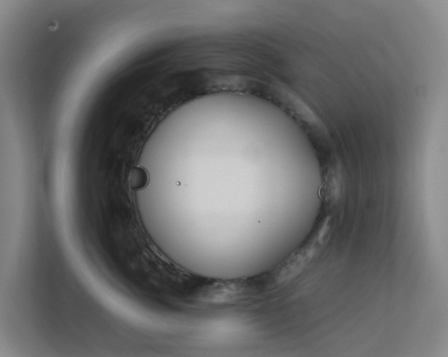 X0000111630764200907241050