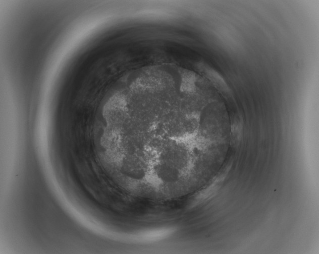 X0000111630765200907241050