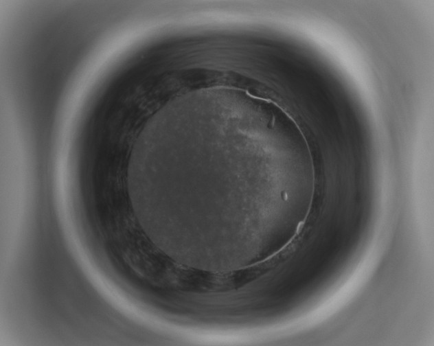 X0000111630766200907241050