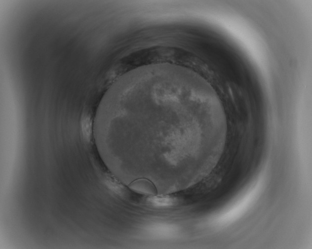 X0000111630767200907241050