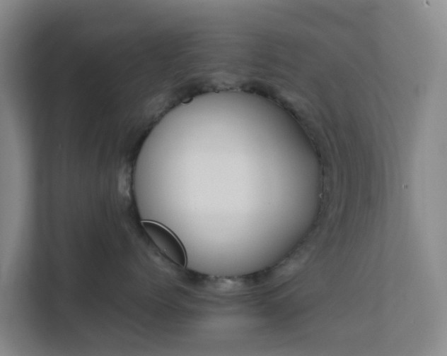 X0000111630768200907241050