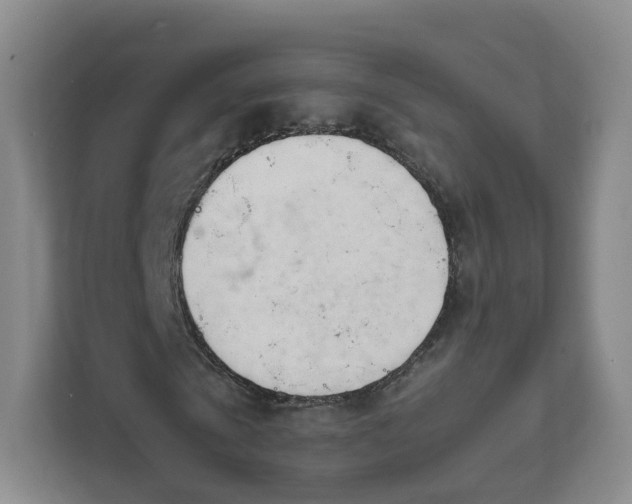 X0000111630769200907241049