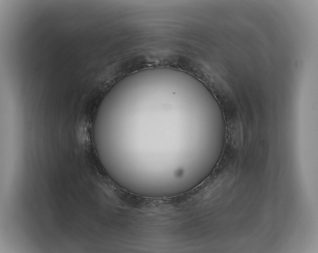 X0000111630770200907241049