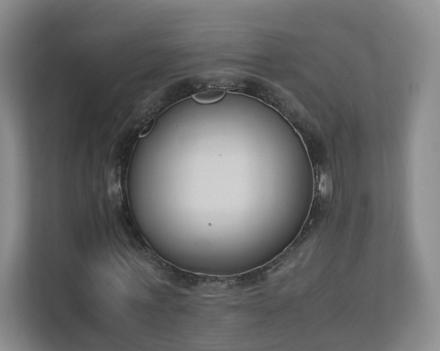 X0000111630771200907241049