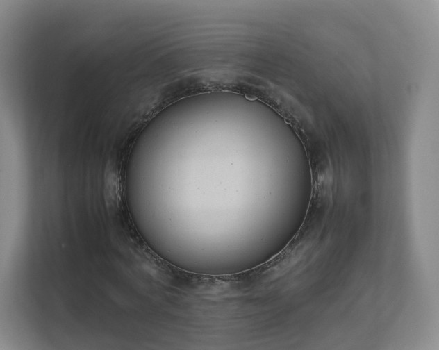 X0000111630772200907241049