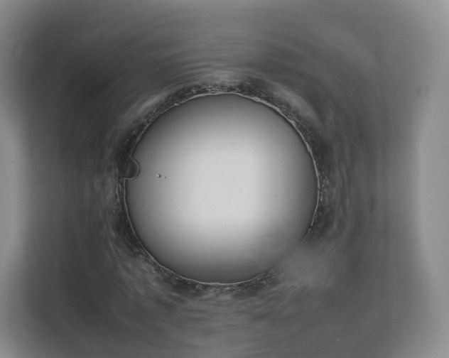 X0000111630773200907241049